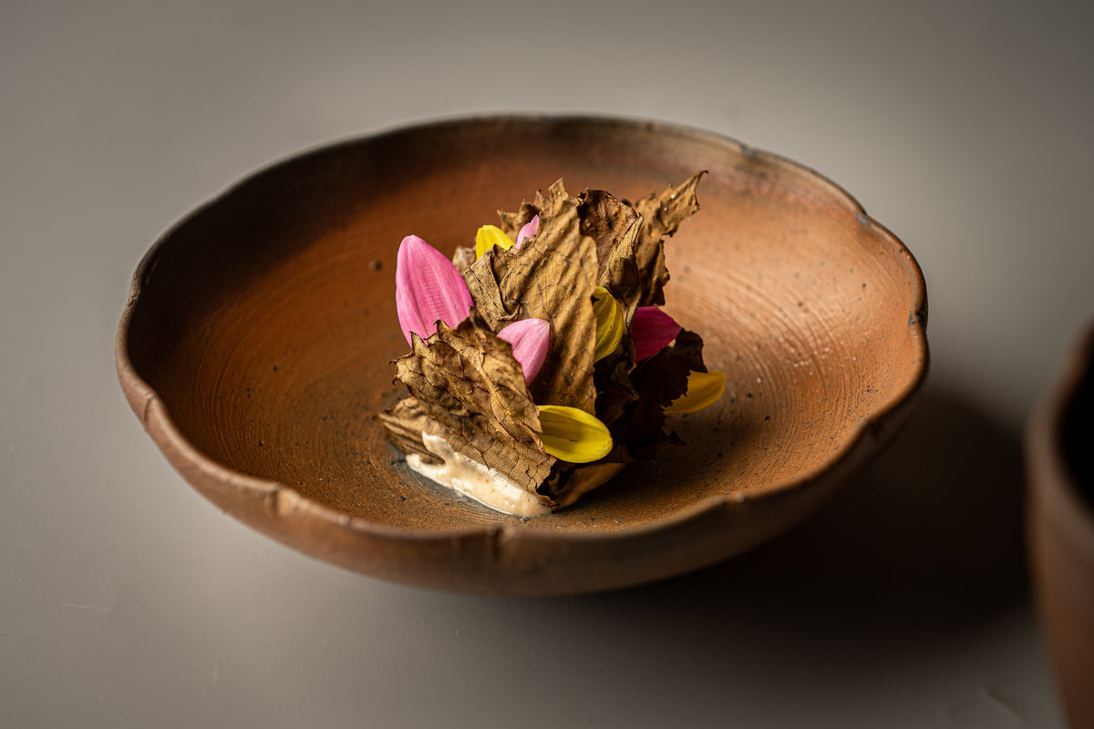 Plato OBA-