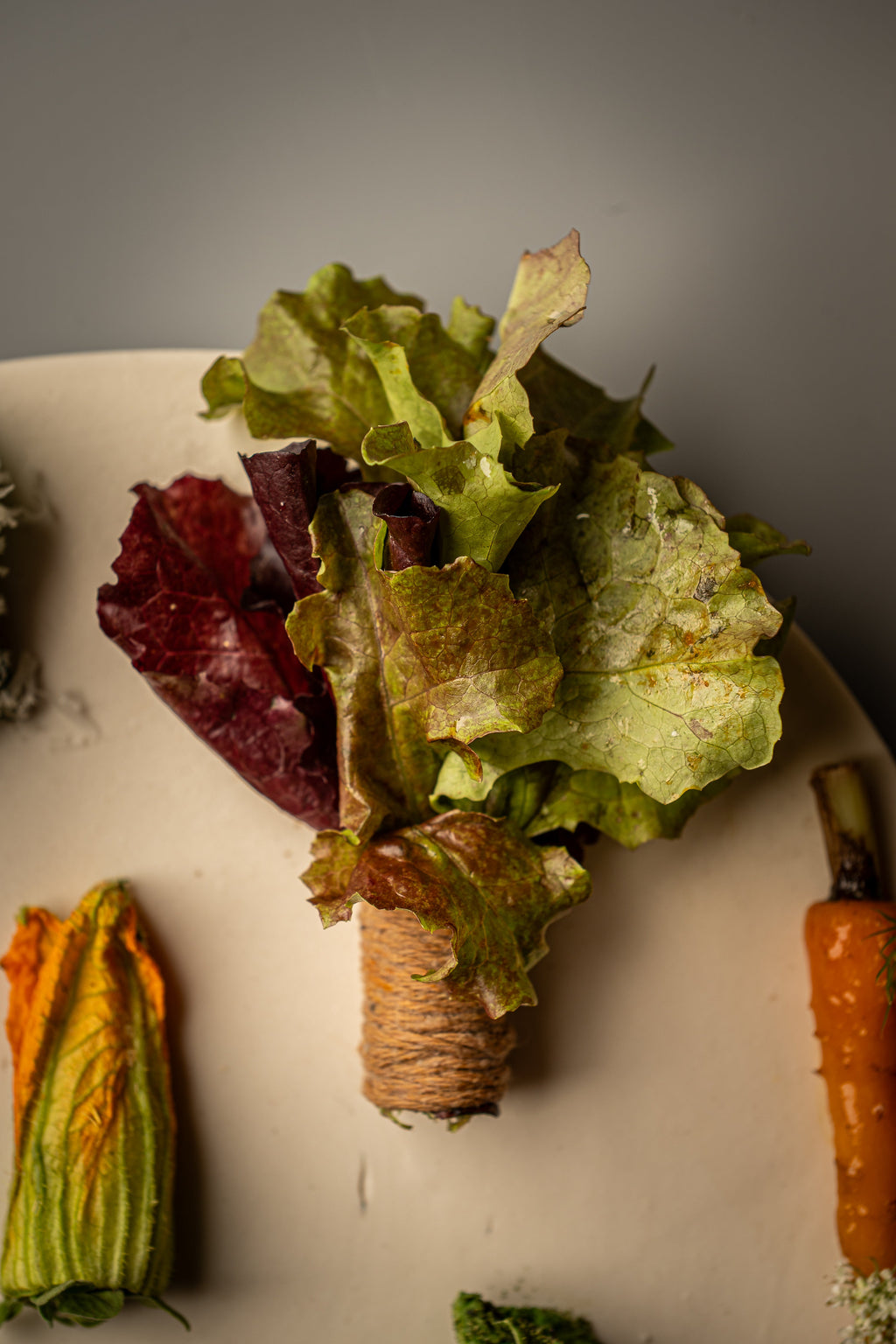 Plato OBA-