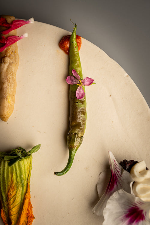 Plato OBA-