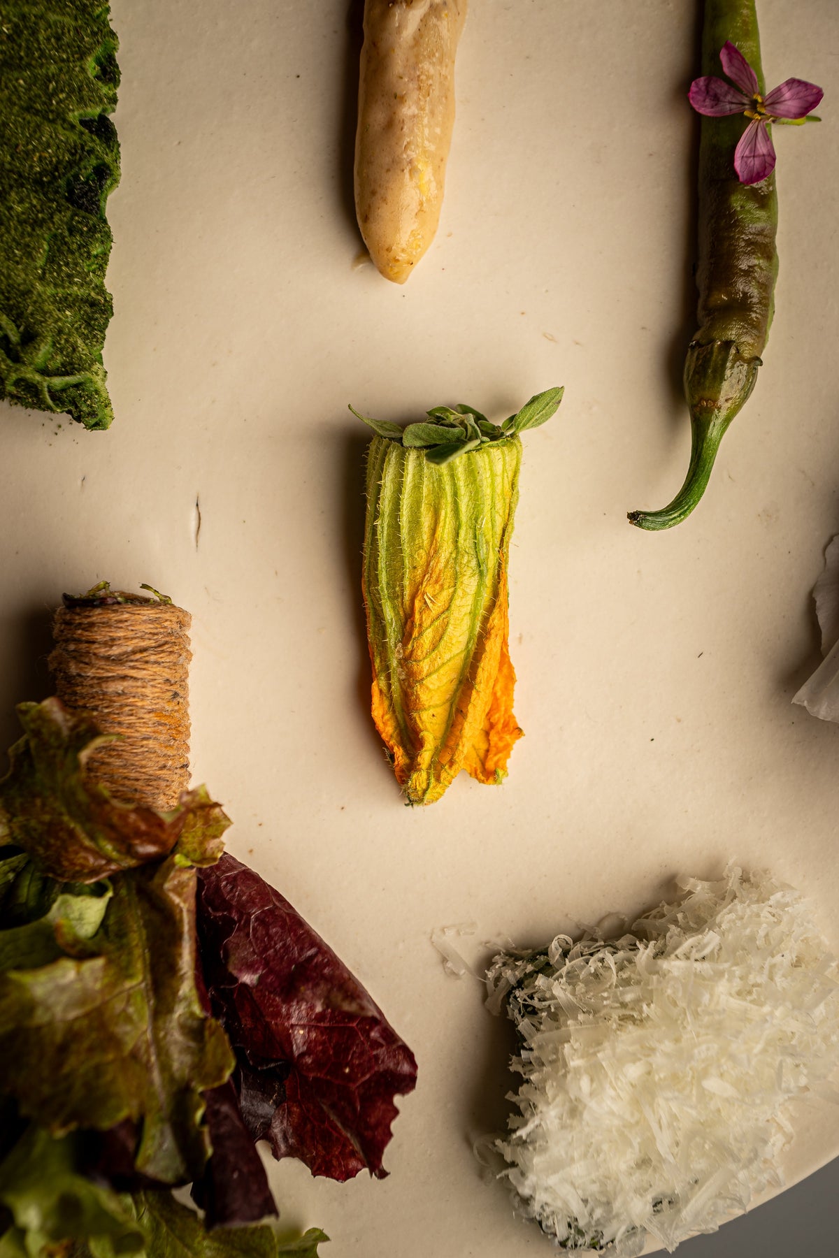 Plato OBA-