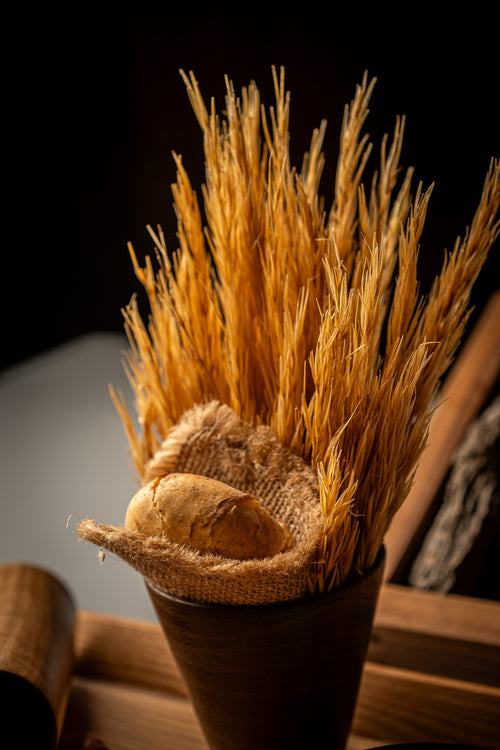Plato OBA-