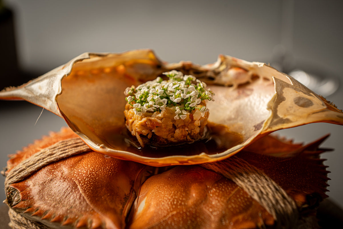 Plato OBA-