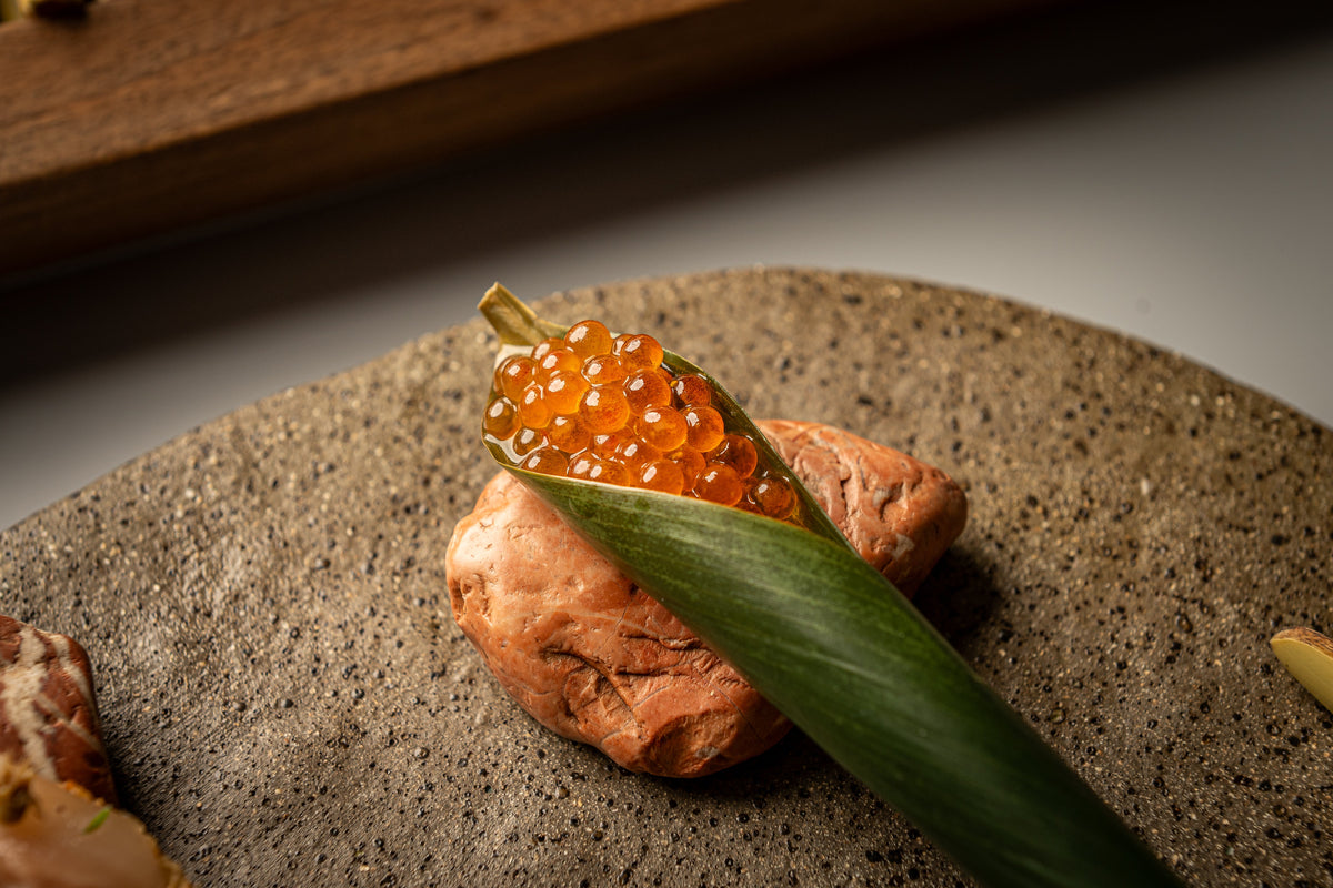 Plato OBA-