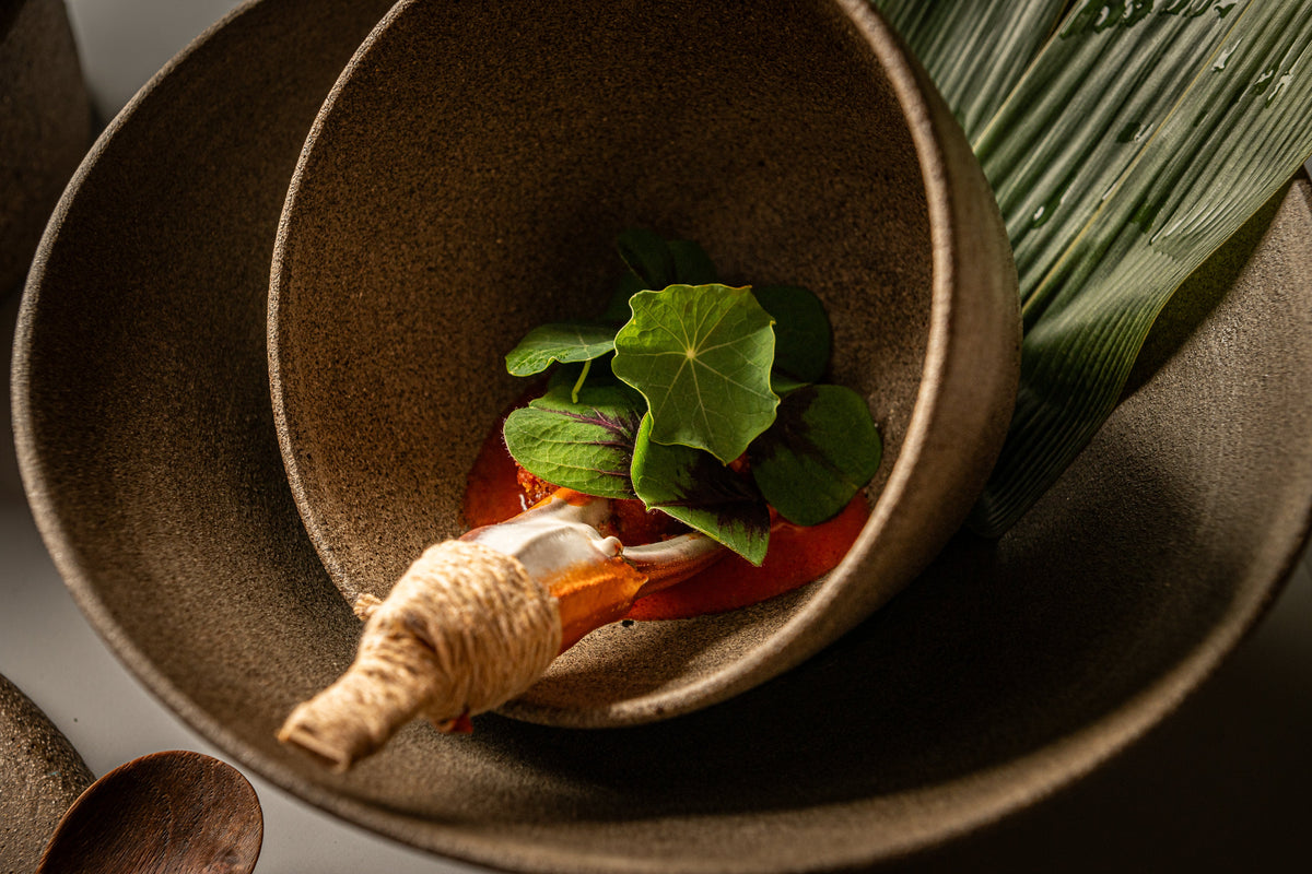 Plato OBA-